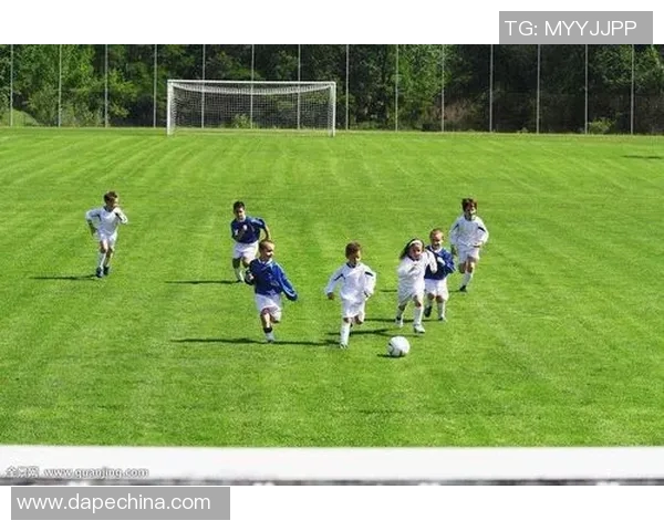 全球足球明星精彩瞬间汇聚全景展示与回顾